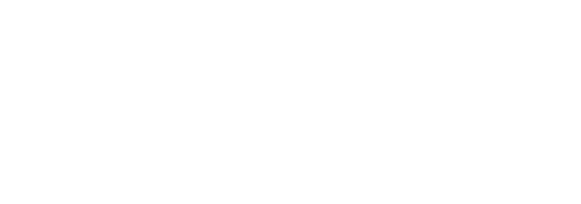 Blackwired logo